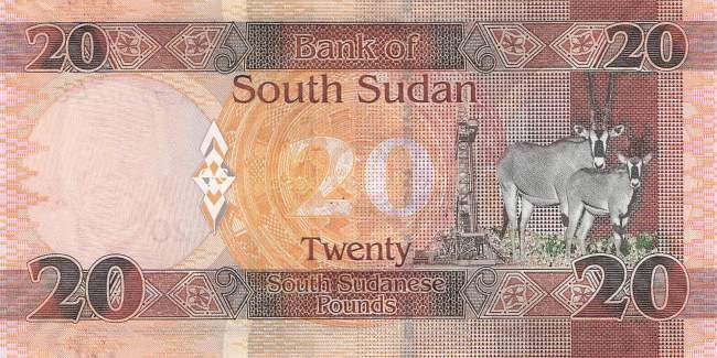 20 Pound Süd Sudan p13a